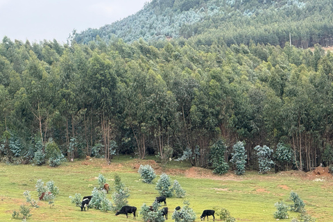 Addis Ababa: Mount Entoto Hike, Injera & Hyena Experience