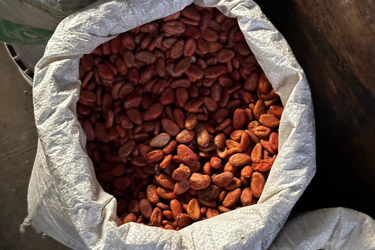 Oaxaca: From Tourist Markets to the Commercial Heart of Oaxaca