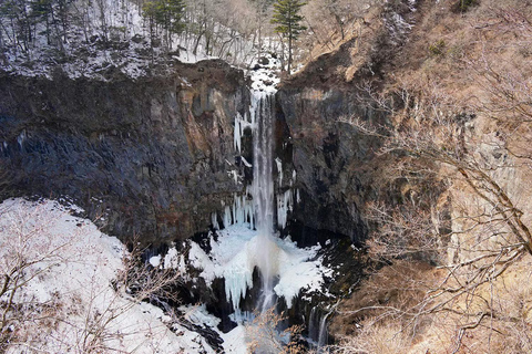Tokyo: Nikko World Heritage & Nature Small-Group Van Tour