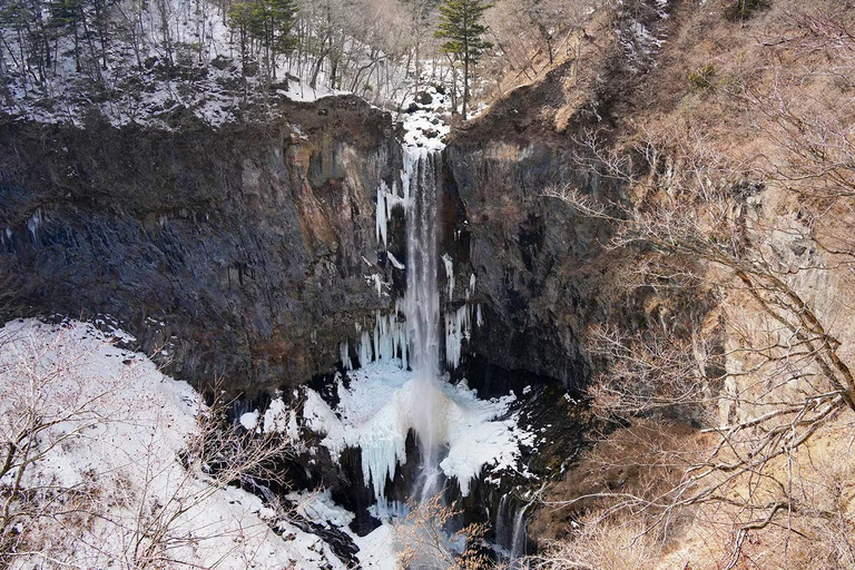 Tokyo: Nikko World Heritage & Nature Small-Group Van Tour