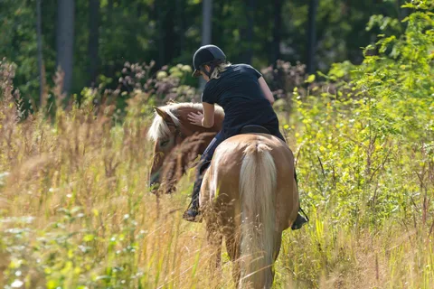 Cruseilles: Horseback Riding in the Countryside