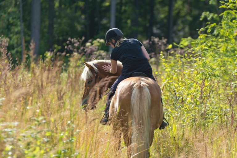 Annecy: Balade à cheval2 horas de balada