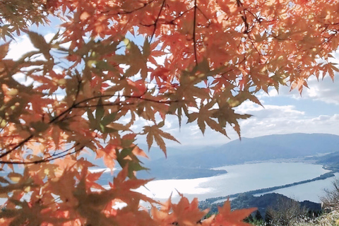 Osaka/Kyoto: Amanohashidate, Ine Bay & Nariaiji Temple Tour From Osaka Meeting Point