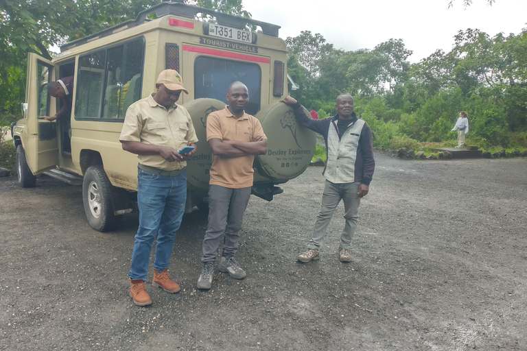 恩戈罗恩戈罗火山口一日旅行（含游猎）
