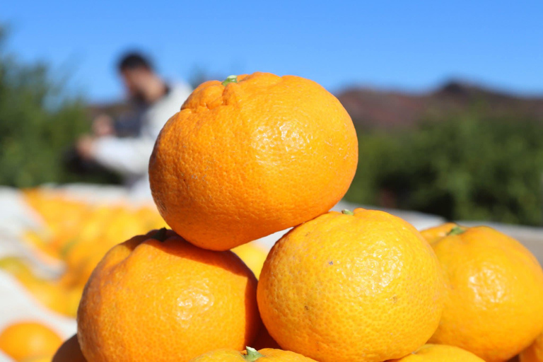 Kusadası: Countryside Tour with Lunch and Drinks