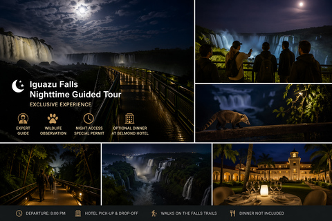 Iguazu Falls: Discover night visits at National Park