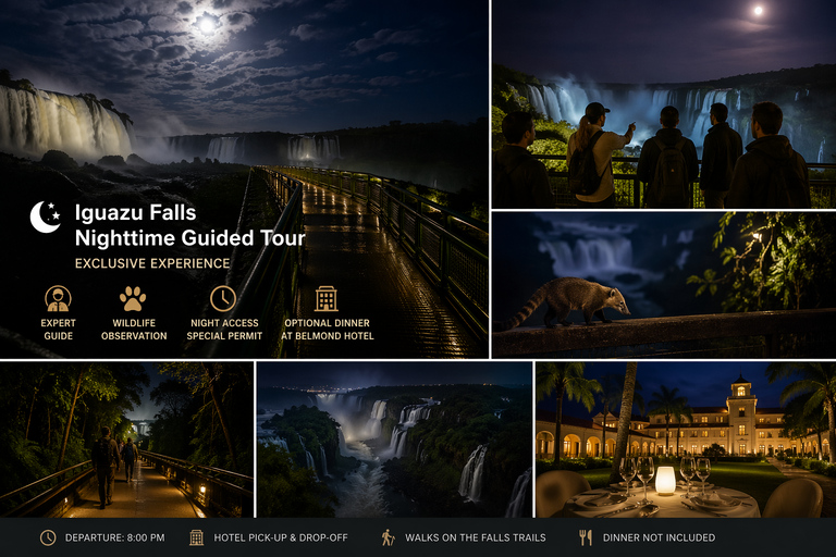 Iguazu Falls: Discover night visits at National Park