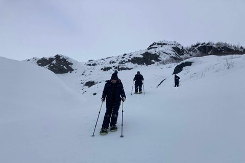 Guided Snowshoeing Adventure from Seward, Alaska 6-Hour Tour
