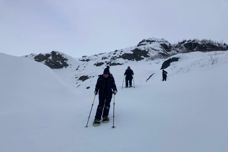 Guided Snowshoeing Adventure from Seward, Alaska 6-Hour Tour