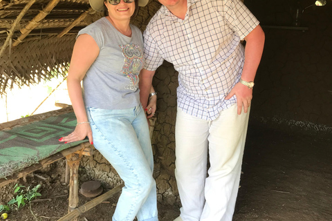 Kandy: Dambulla, Pidurangala Rock, and Cooking Day Trip Sri Lanka : Kandy, Rice Field, Golde Buddha, Village Lunch .