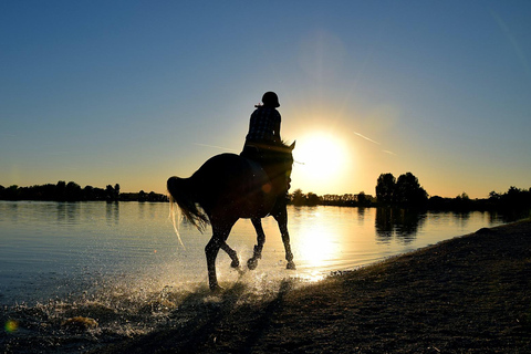 Faliraki/Afadou: Horse Ride to the Beach