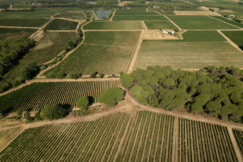 Z Nicei: wycieczka całodniowa po winiarskiej ProwansjiZ Nicei: Całodniowa wycieczka po Prowansji z winem