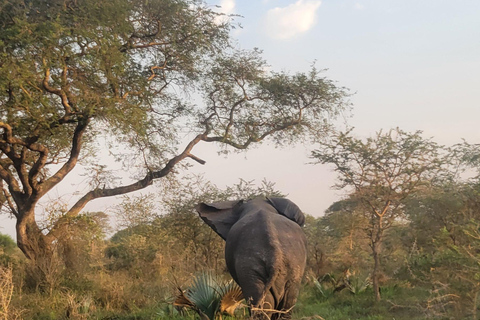 From Kampala: 2-Day Murchison Falls National Park Vacation