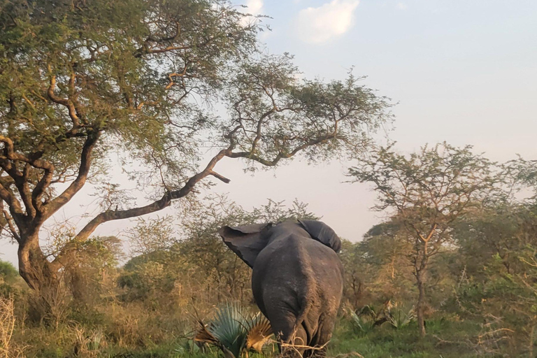 From Kampala: 2-Day Murchison Falls National Park Vacation