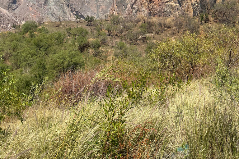 Johannesburg: Full Day Cullinan Diamond Mine & Diamond Shop