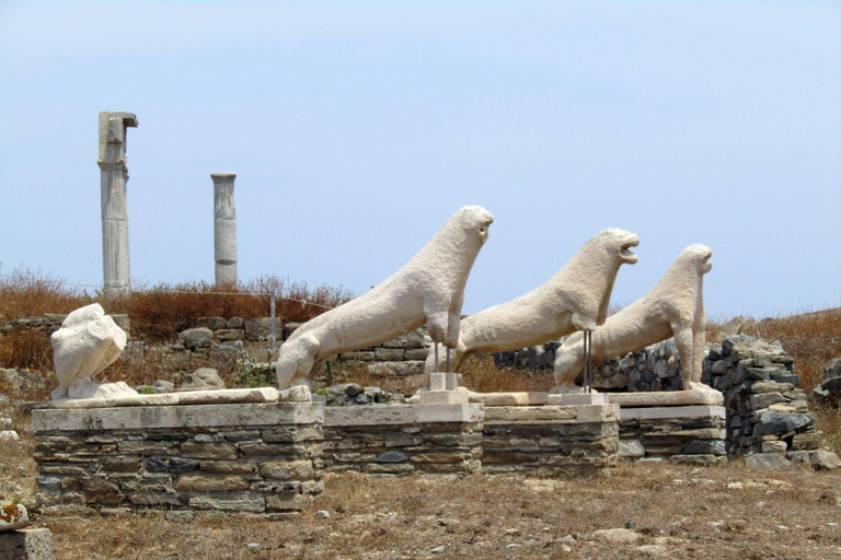 Delos: Única visita guiada de áudio ao sítio arqueológicoDelos: Somente tour guiado por áudio pelo sítio arqueológico