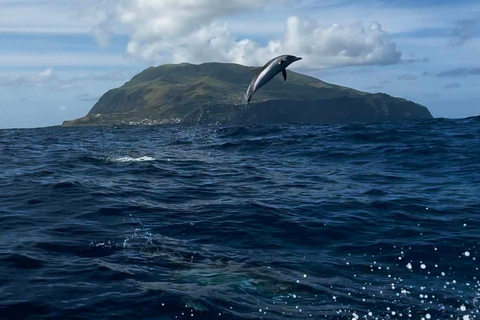 Corvo Island: Full Tour with Boat, Transfers, and Guide Corvo Island: Full Tour with Boat, Transfers, and Guide Included