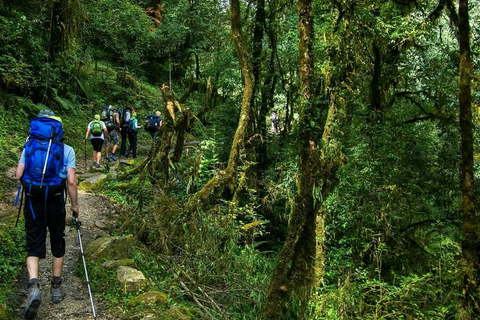 Acampamento Base Annapurna (ABC) - 8 dias