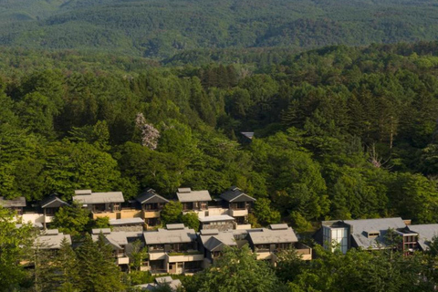 Excursão de um dia ao Santuário Hyland de Karuiizawa Koedo KawagoeSaída Norte de Marunouchi