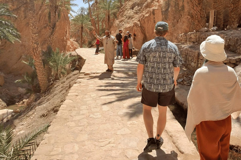 Tozeur: Chebika, Tamaghza, Mides & Sahara StarWars Day Trip