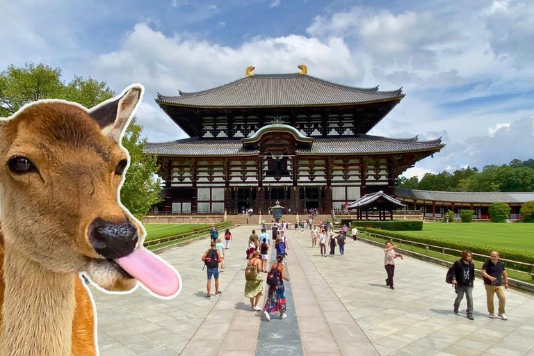 Kyoto & Nara: Private Guided Tour on Green Licensed Alphard