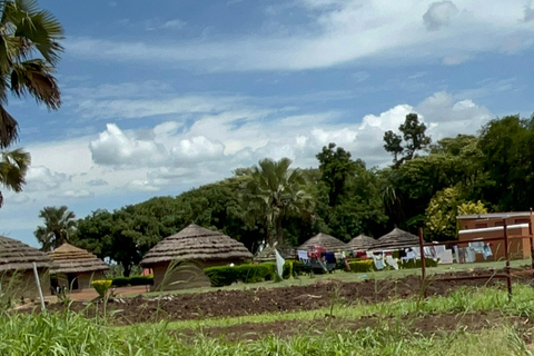 Gulu: Construcción y pintura de cabañas tradicionales africanas: ¡una joya turística!