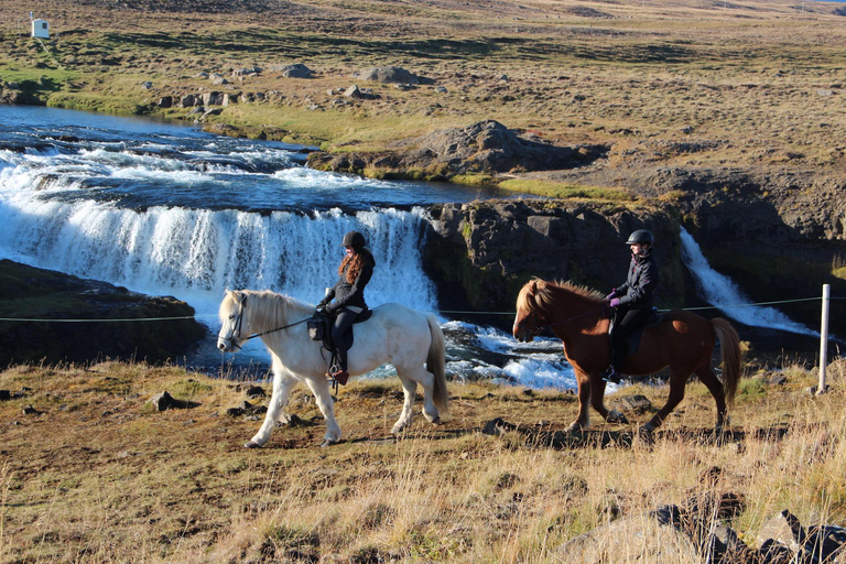 Varmahlid: Viking Horse Riding Tour