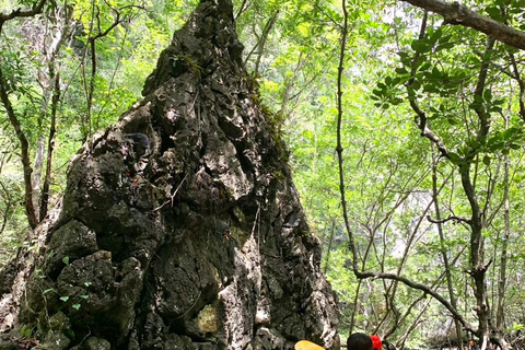 Krabi: ATV Jungle Bash & Kayak Odyssey in Din Daeng Mangrove