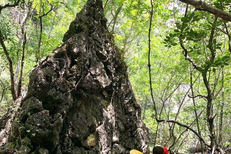 Krabi: ATV Jungle Bash & Kayak Odyssey in Din Daeng Mangrove