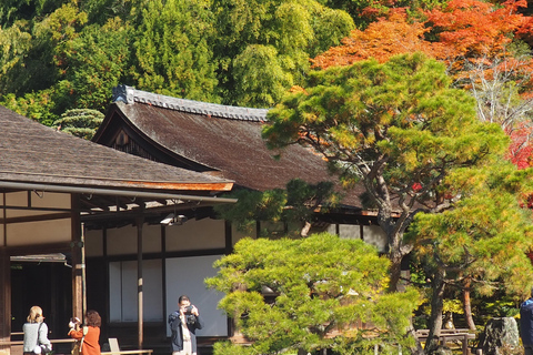 E-Bike Tour in Kyoto with Asuka, Japanese graduate student