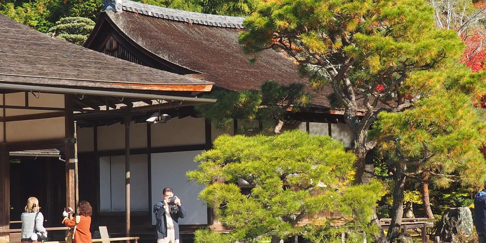 Kyoto experience — temples, geisha, bamboo grove — image 63
