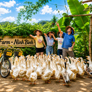 Ninh Binh Bike Tour: Rural Villages, Rice Fields & Duck Farm Ninh Binh Bike Tour: Rural Villages, Rice Fields & Duck Farm