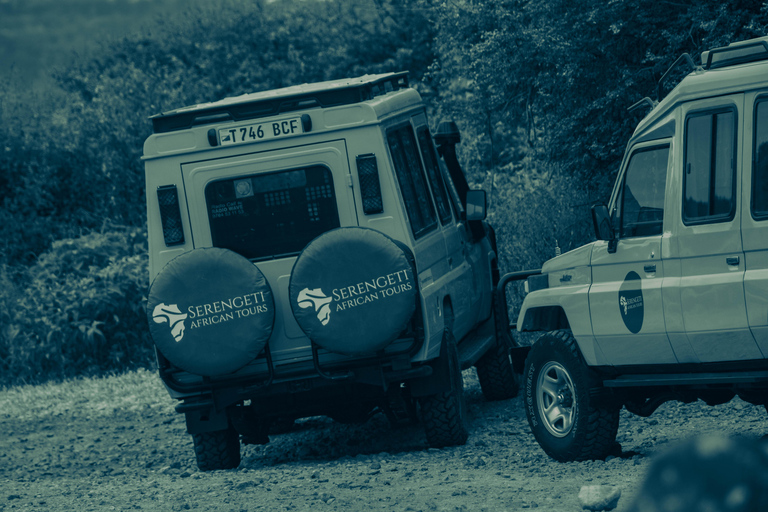 Zanzibar: 4-Day Mid-Range Safari Special for Honeymooners