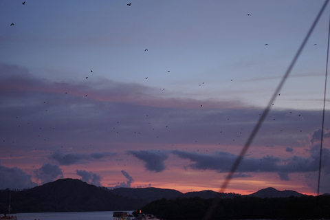 Labuan Bajo: Kelor Manjarite & Kalong Island Boat Tour