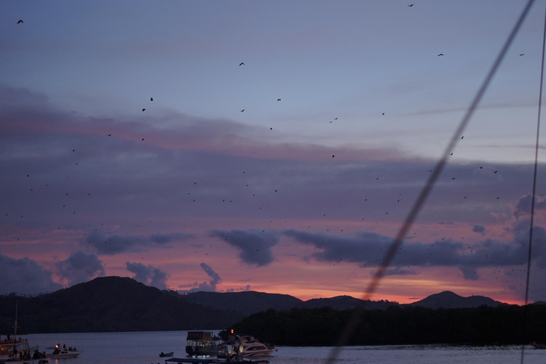 Labuan Bajo: Kelor Manjarite & Kalong Island Boat Tour