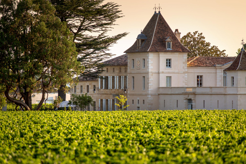 Saint-Emilion: Vineyard Visit and Gourmet Picnic Basket Saint-Emilion: Vineyard Tour and Gourmet Picnic Basket