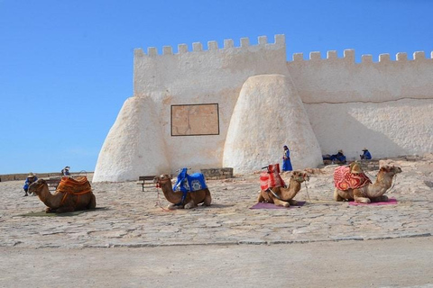 Agadir Tour: Cable Car, Crocoparc & Tree-Climbing Goats From Agadir Cable Car, Crocoparc & Tree-Climbing Goats
