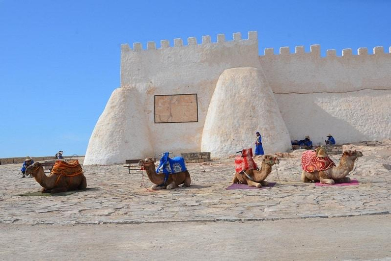 Agadir Tour: Cable Car, Crocoparc & Tree-Climbing Goats From Agadir Cable Car, Crocoparc & Tree-Climbing Goats