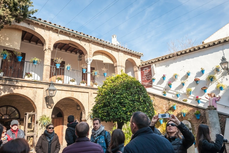 Córdoba: Stadttour mit Kultur, Geschichte und WahrzeichenCórdoba: Gruppen bis zu 30 Personen