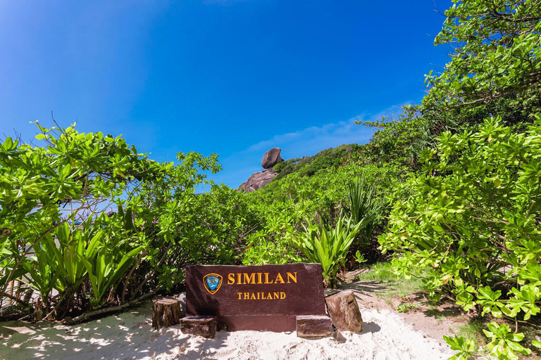 Phuket/Khaolak : excursion d&#039;une journée aux îles Similan avec plongée en apnée