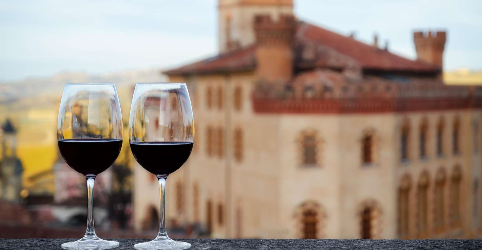 Alba, castillo de Barolo, viñedos de Alfieri y almuerzo de trufa - Housity