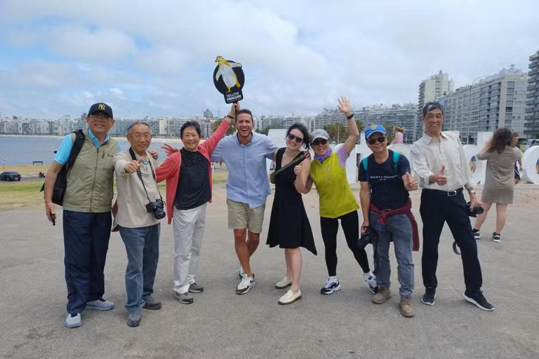 Montevideo: tour langs de hoogtepunten van de stad met ophaalservice
