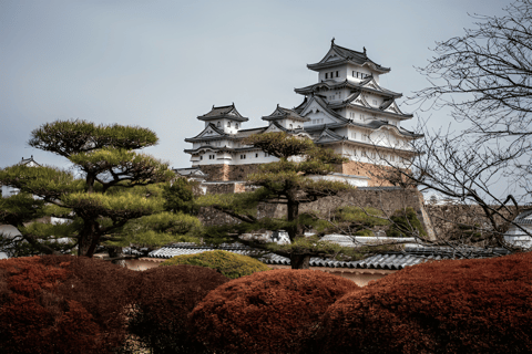 Kobe en Himeji: Een reis door cultuur en geschiedenis