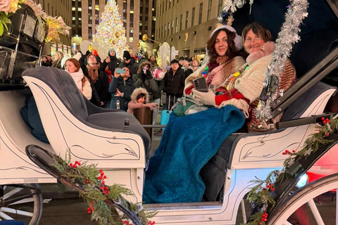 NYC: Central Park Christmas Lights Horse-Drawn Carriage Ride