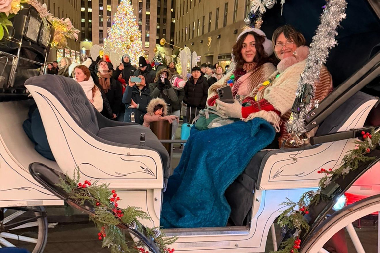 NYC: Central Park Christmas Lights Horse-Drawn Carriage Ride