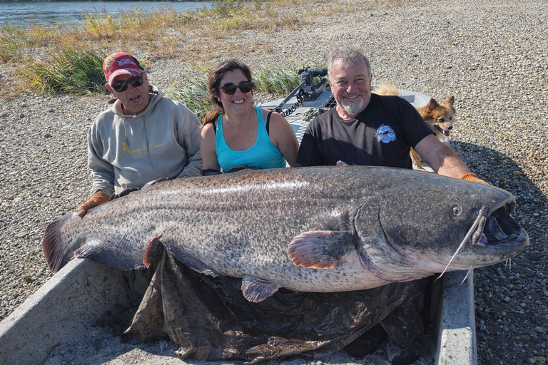 Catfish fishing in the Camargue and a boat tour of the Pont d'Avignon