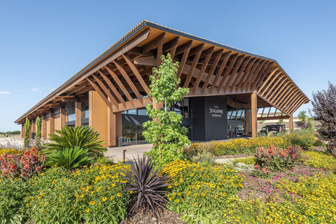 Tarragona: Bodegas Yzaguirre guided tour with vermouth tasting Guided tour and tasting of 5 vermouths with a paired appetizer