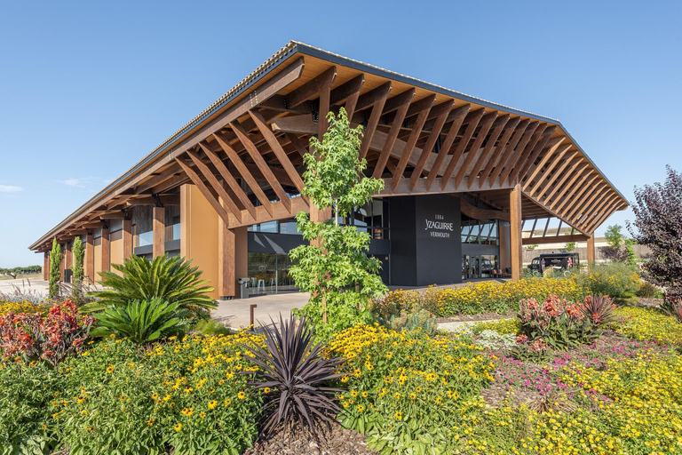 Tarragona: Bodegas Yzaguirre guided tour with vermouth tasting Guided tour and tasting of 5 vermouths with a paired appetizer
