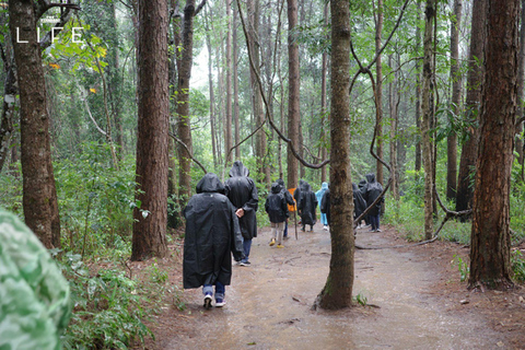 Doi Inthanon nationalpark &amp; vandring Kew Mae Pan Nature Trail