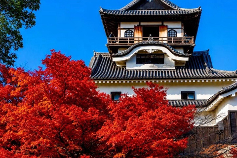 Kyoto & Osaka: Private Customizable Day Trip with Guide